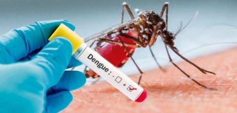 Concórdia registra variante da dengue